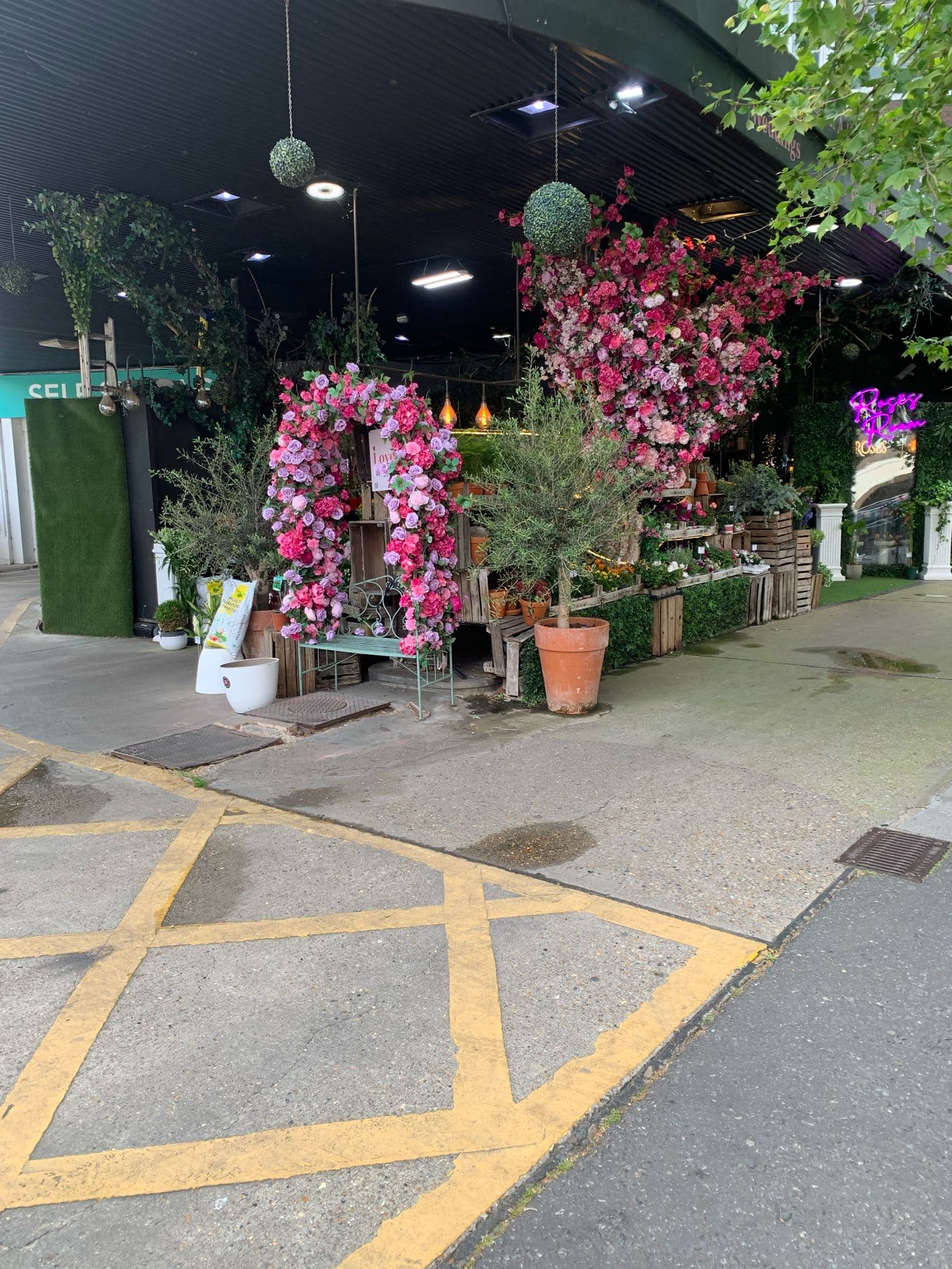 Wild & Bloom storefront interior 2